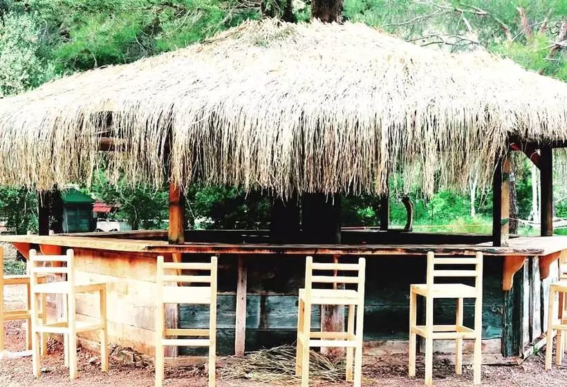 ユースホステル Camp Meeting Point