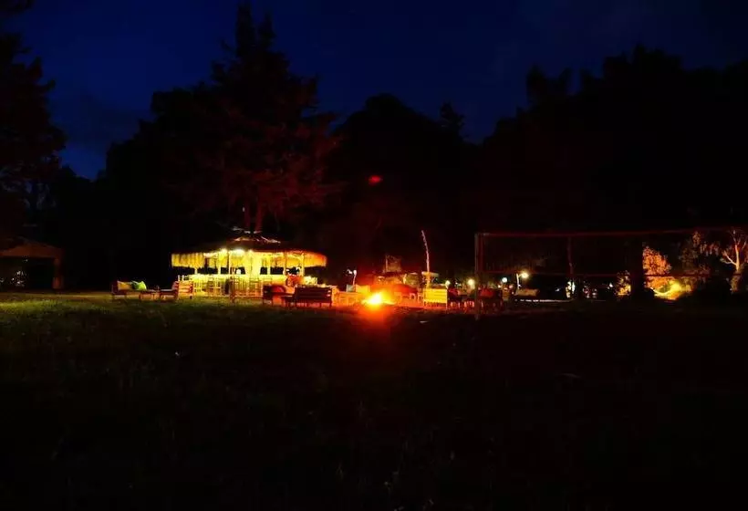 ユースホステル Camp Meeting Point