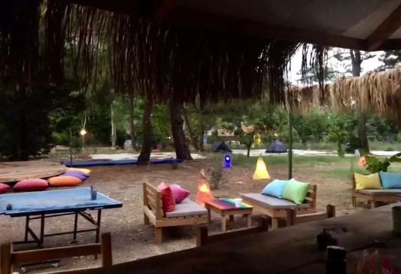 ユースホステル Camp Meeting Point