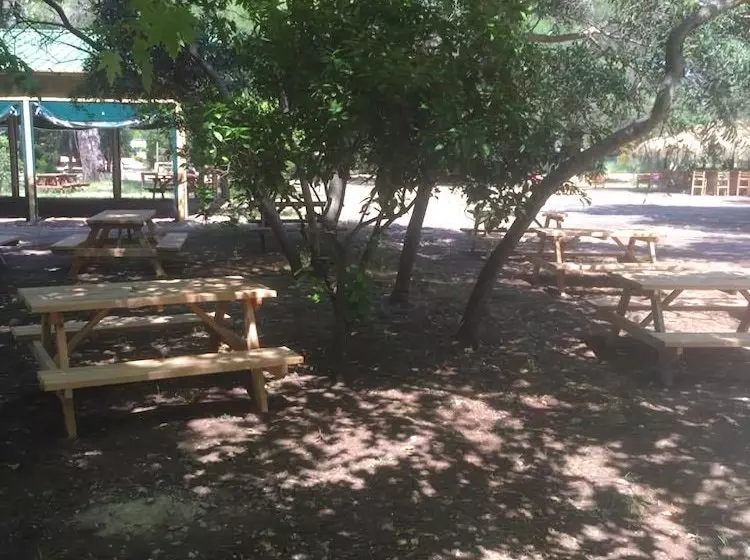 ユースホステル Camp Meeting Point