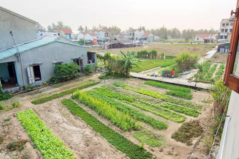تختخواب و صبحانه Seaside An Bang Homestay