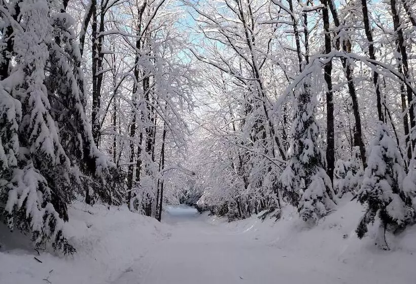 Lakewoods Resort & Lodge