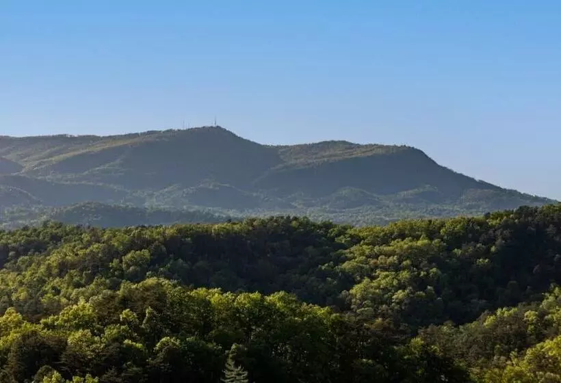 Scenic Vista Lodge