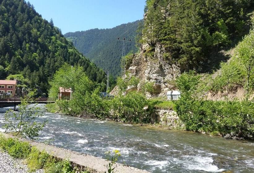 Uzungol Bungalow House