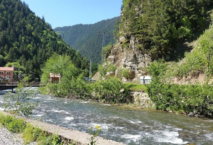 Uzungol Bungalow House