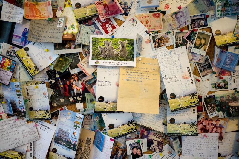 تختخواب و صبحانه Suto House