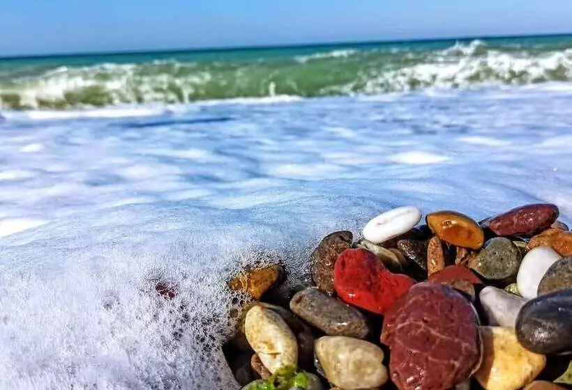 Hostelli Assos Livza Butik & Apart Otel