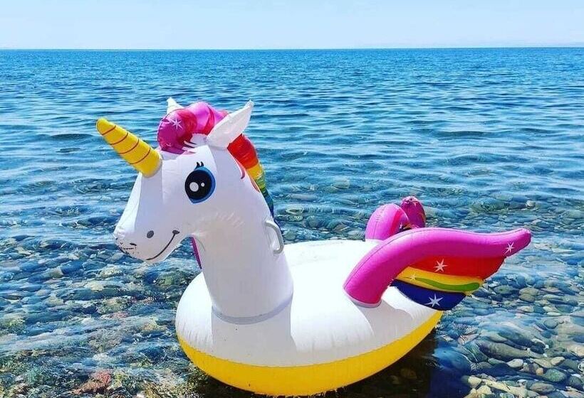 مسافرخانه Assos Livza Butik & Apart Otel