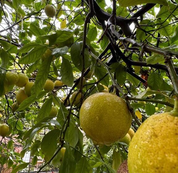 Отель L'onda Oda Bodrum