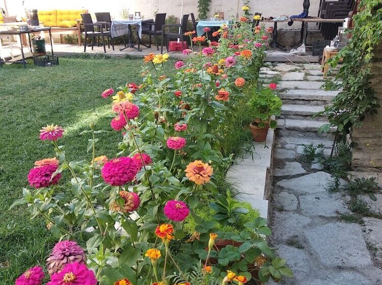 בית מלון כפרי Muhsin Bey Konagi