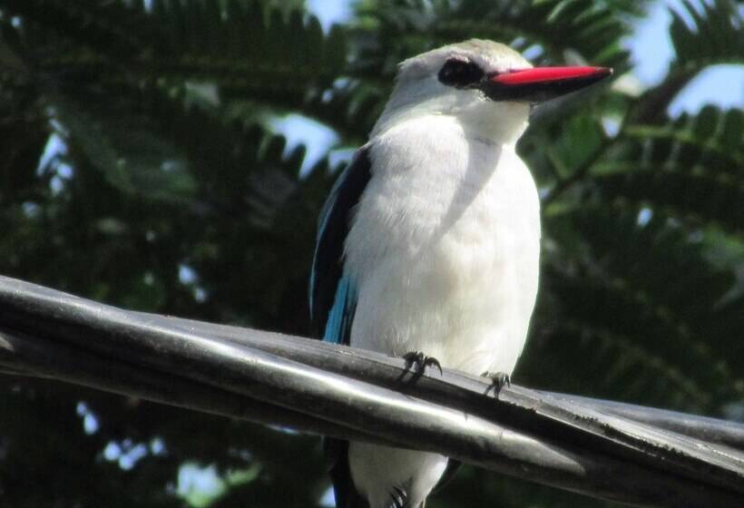 هتل Nyange Resort And Marina