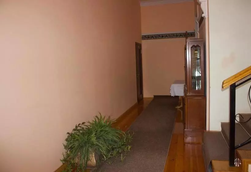 Platan Hostel