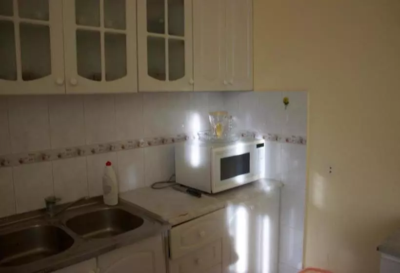 Platan Hostel