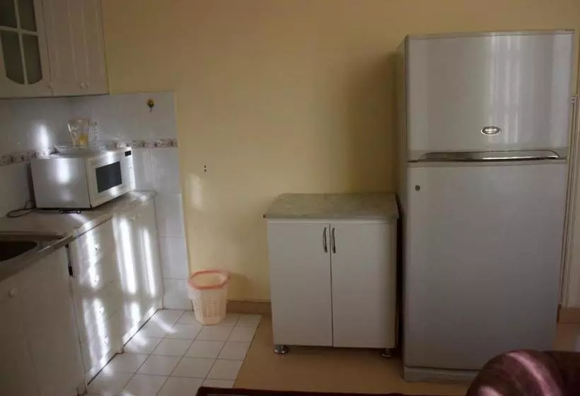 Platan Hostel