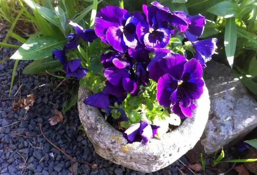 Aamiaismajoitus (B&B) Stockghyll Cottage