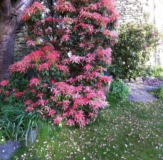 Aamiaismajoitus (B&B) Stockghyll Cottage