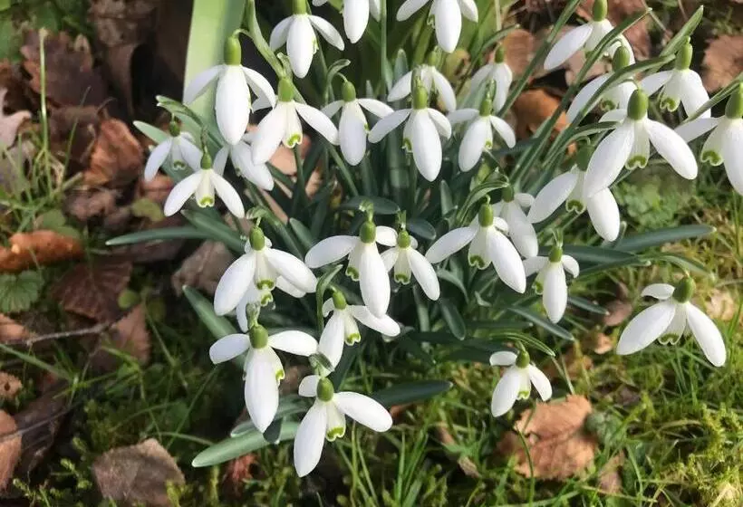 Aamiaismajoitus (B&B) Stockghyll Cottage