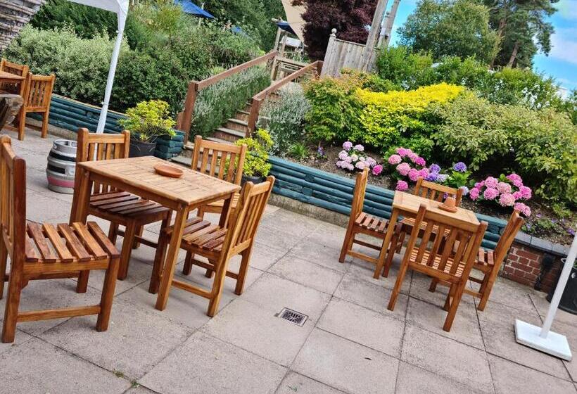 簡易ホテル The Red Lion