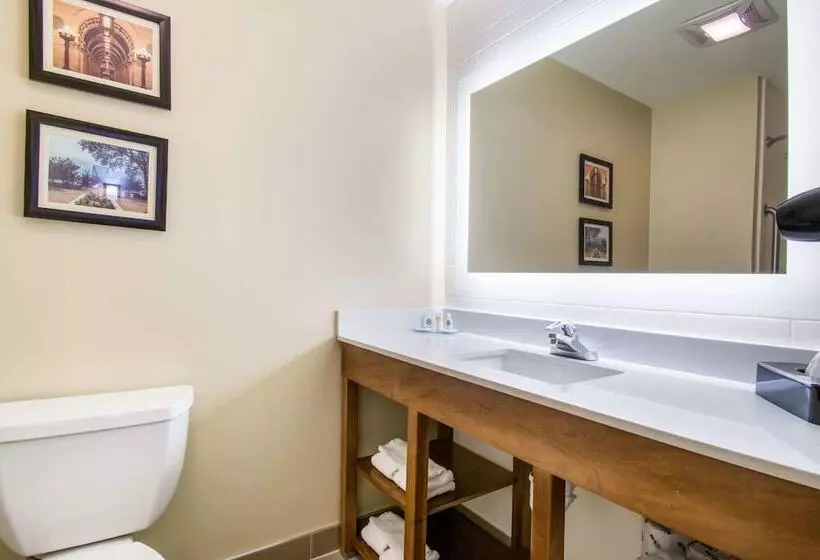 ホテル Comfort Inn & Suites Harrisburg  Hershey West