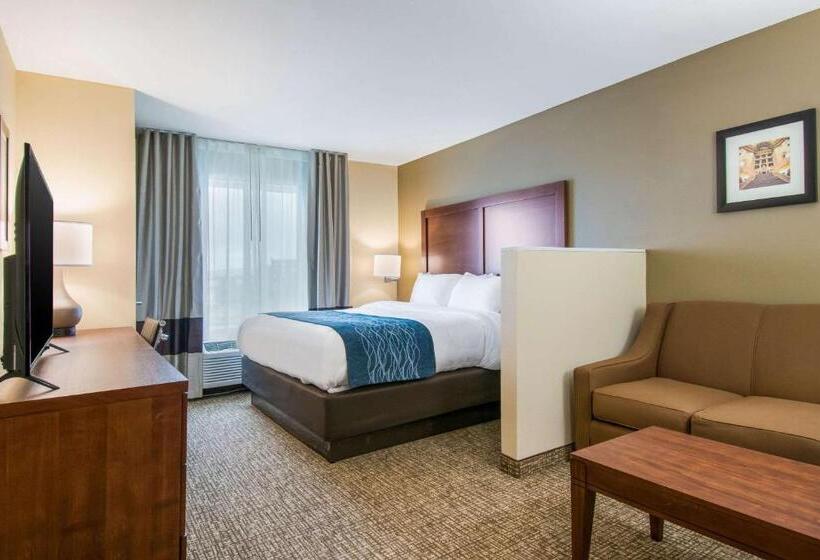 酒店 Comfort Inn & Suites Harrisburg Hershey West
