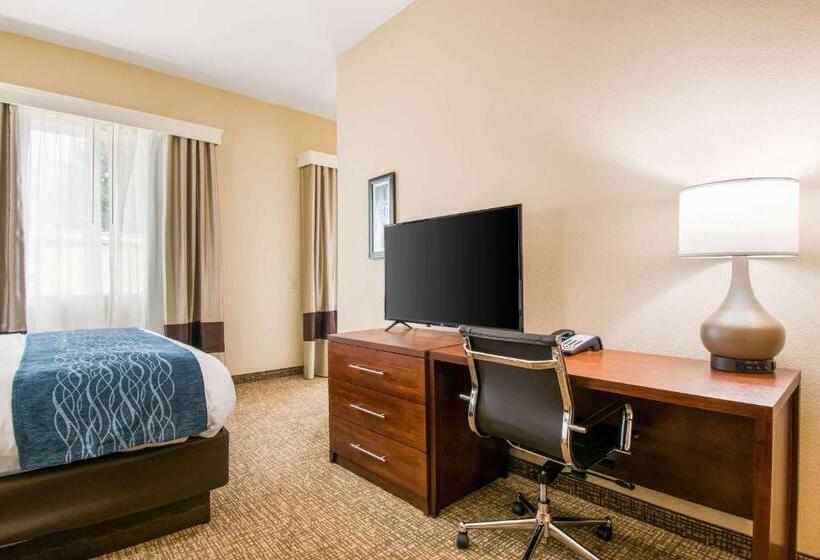 酒店 Comfort Inn & Suites Harrisburg Hershey West