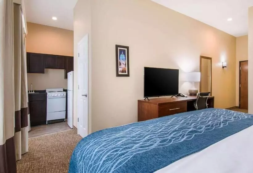 ホテル Comfort Inn & Suites Harrisburg  Hershey West
