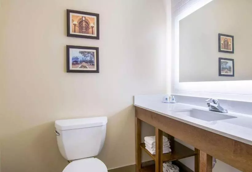 ホテル Comfort Inn & Suites Harrisburg  Hershey West