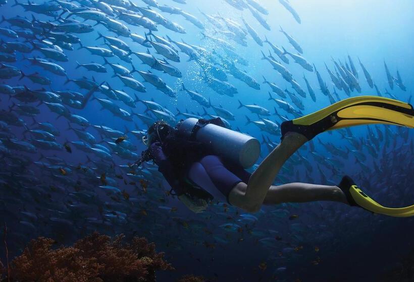 فندق Blue Marlin All Inclusive Seascape By Dream Resorts