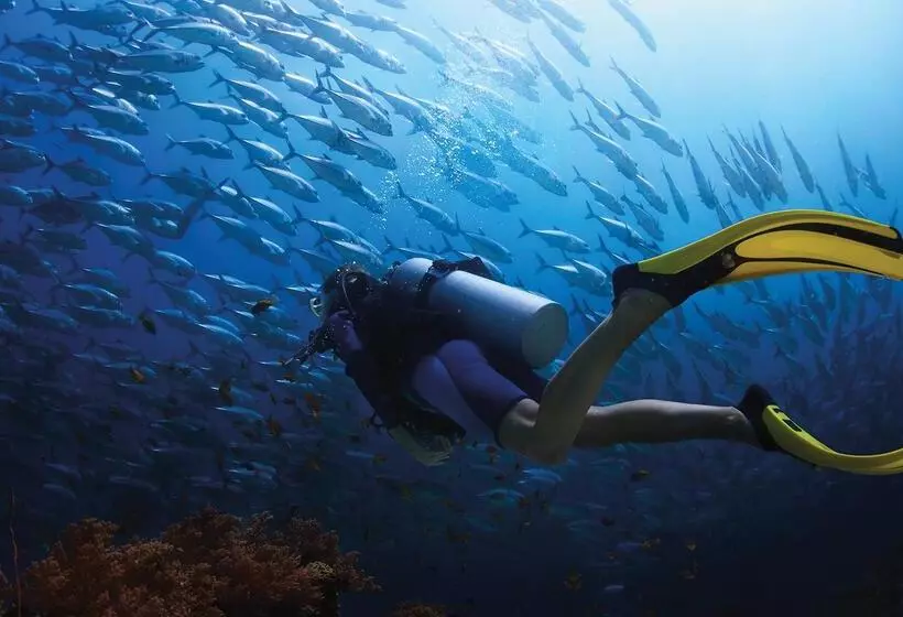 Отель Blue Marlin All Inclusive Seascape By Dream Resorts