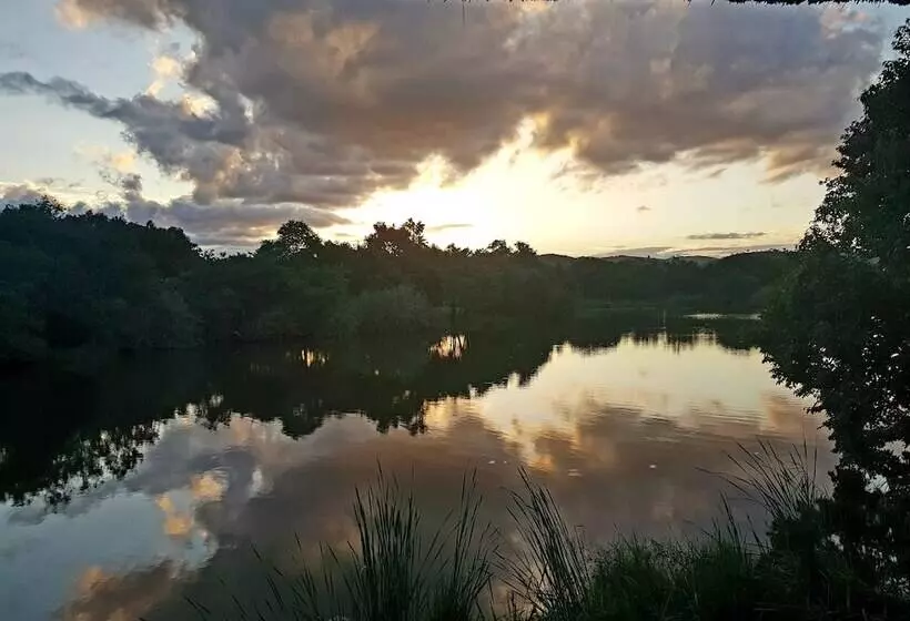 Отель Kruger Park Lodge