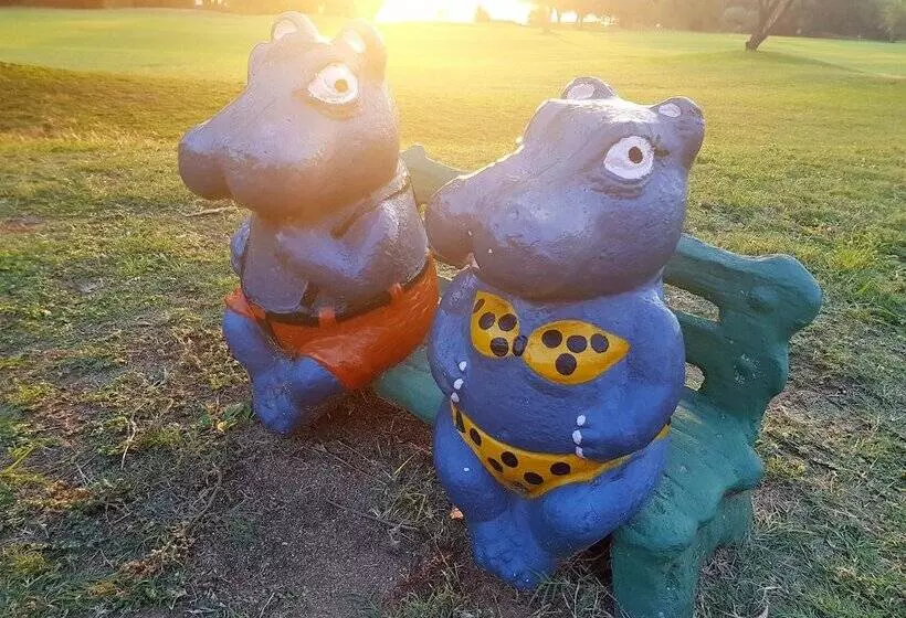 Отель Kruger Park Lodge