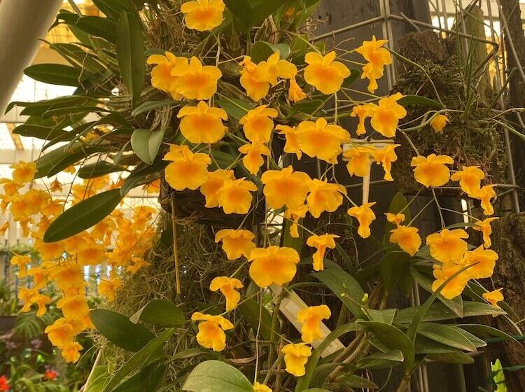 酒店 Big4 Mackay Blacks Beach Holiday Park