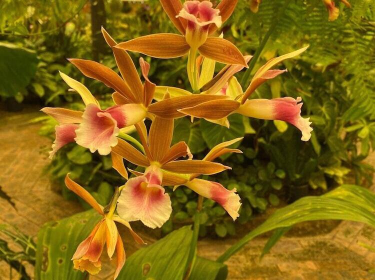 酒店 Big4 Mackay Blacks Beach Holiday Park