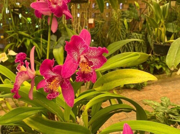 酒店 Big4 Mackay Blacks Beach Holiday Park