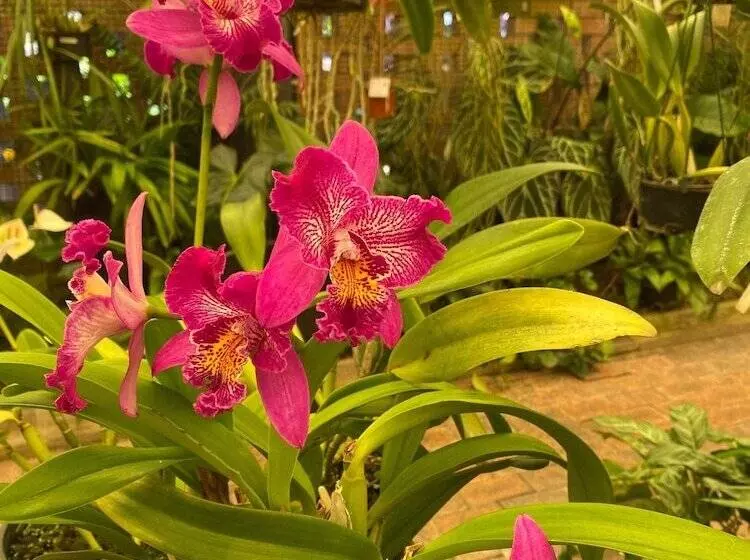 Hotelli Big4 Mackay Blacks Beach Holiday Park