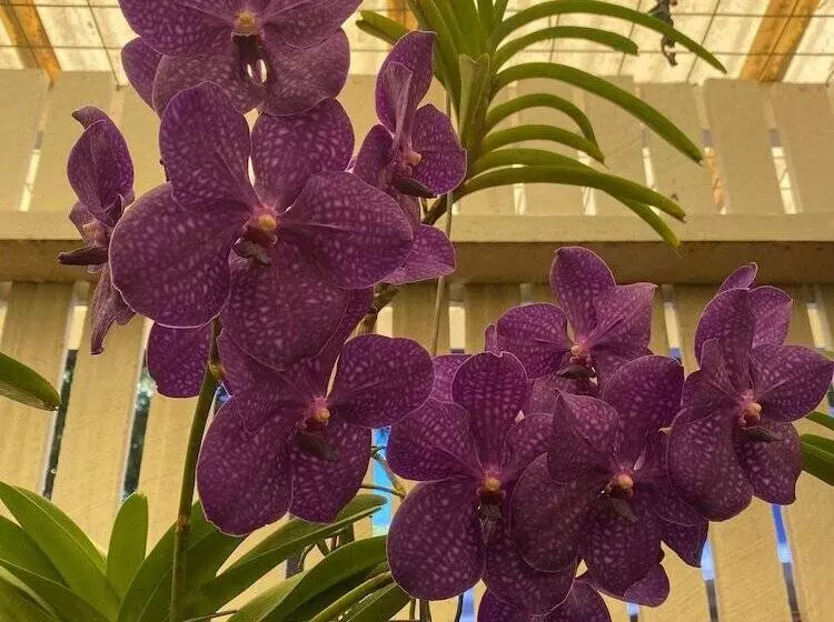 Hotelli Big4 Mackay Blacks Beach Holiday Park