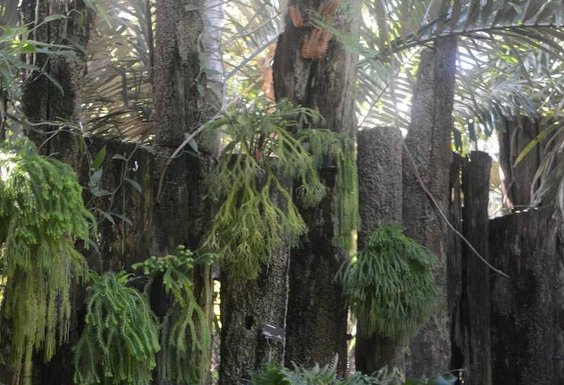 酒店 Big4 Mackay Blacks Beach Holiday Park