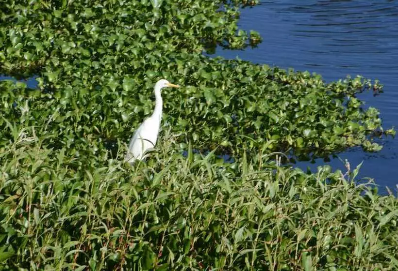 Hotelli Big4 Mackay Blacks Beach Holiday Park
