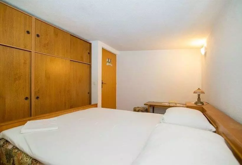 Apartment And Rooms Ruza
