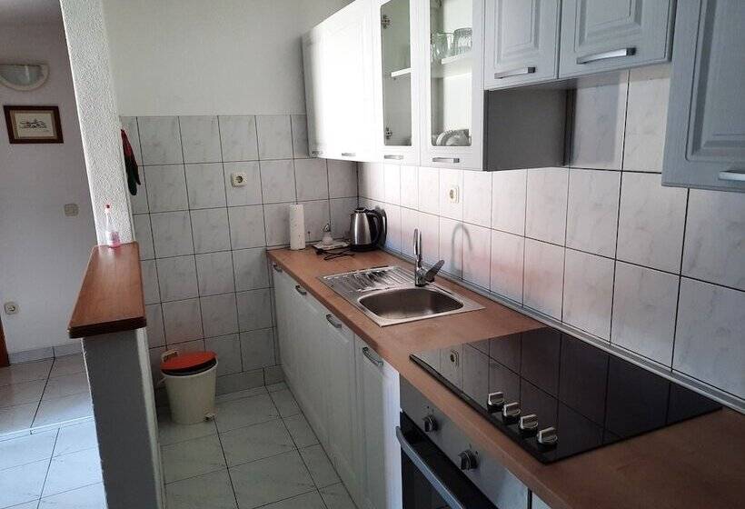 Apartment And Rooms Ruza