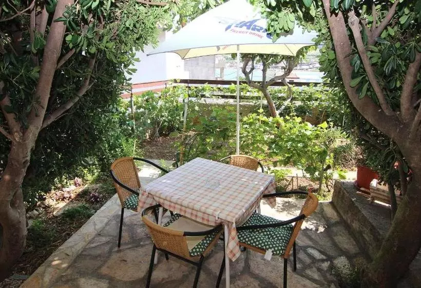 Apartments Jelica