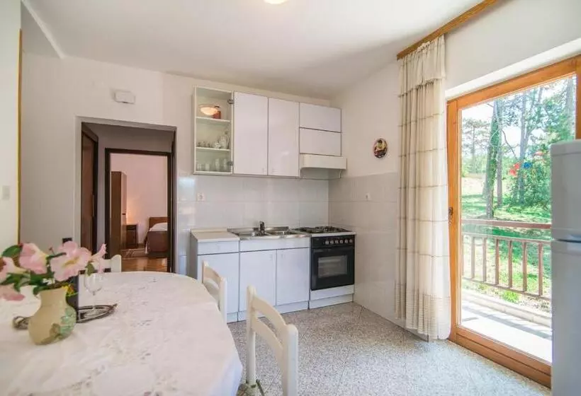 Apartments Pino Rabac