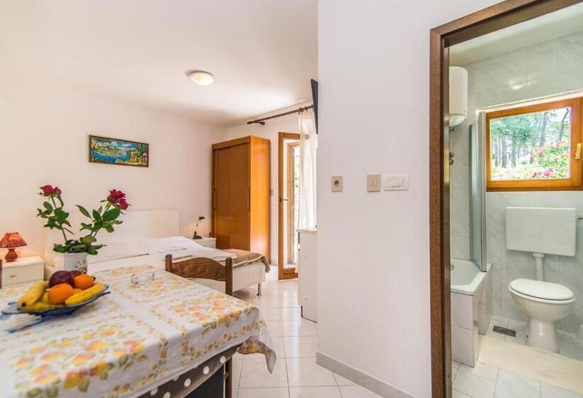 Apartments Pino Rabac