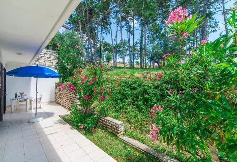 Apartments Pino Rabac