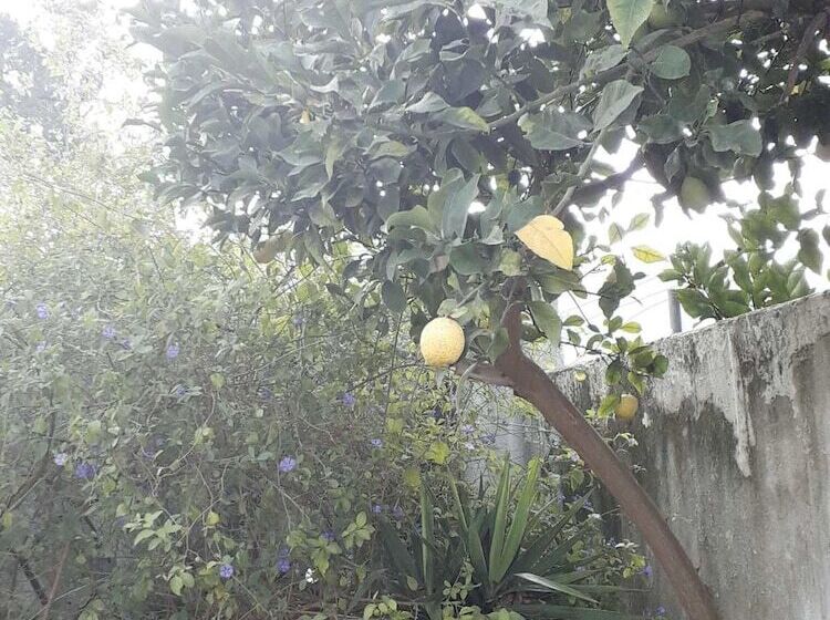 Backpackers Hostel Fonte Da Telha