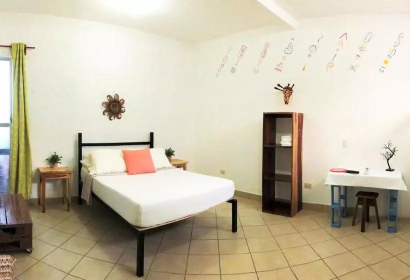 Hostel Casa Ula  A Relaxing Stay