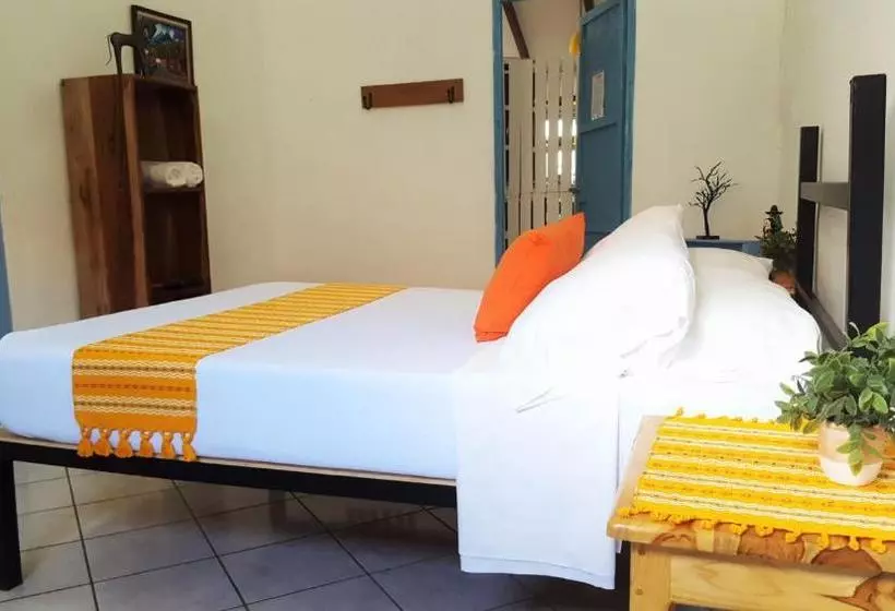 Hostel Casa Ula  A Relaxing Stay