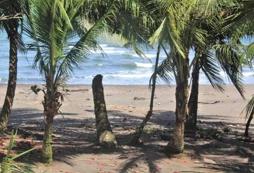Coconut Hostel B&b