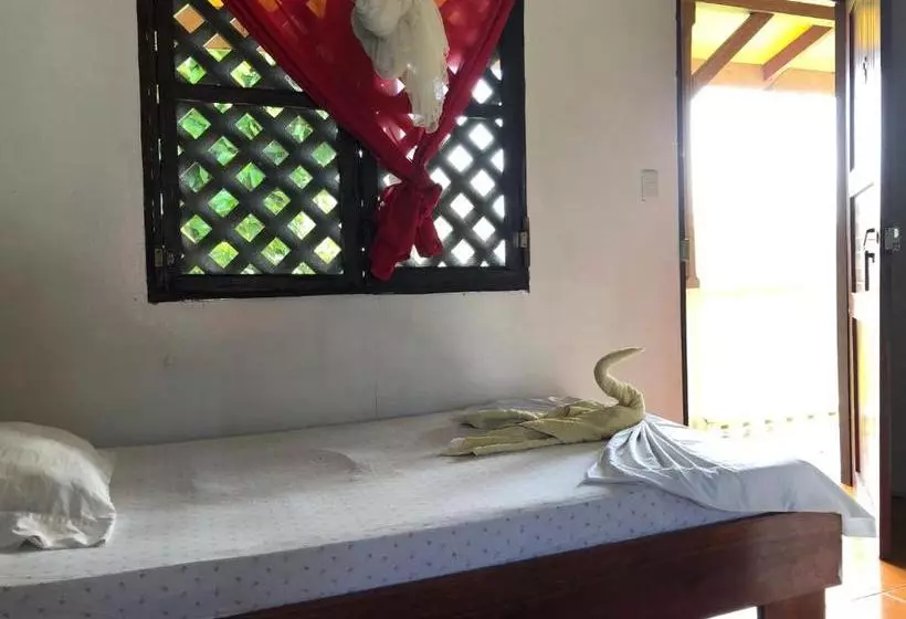 Coconut Hostel B&b
