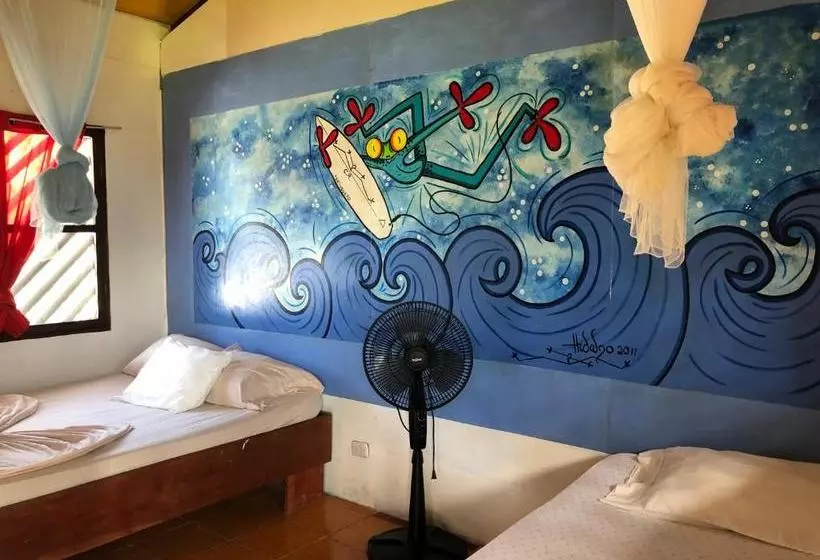 Coconut Hostel B&b